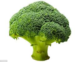 Healthsupplementproduct-Broccoli