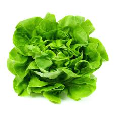 Healthsupplementproduct-Lettuce