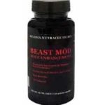 beast mod review